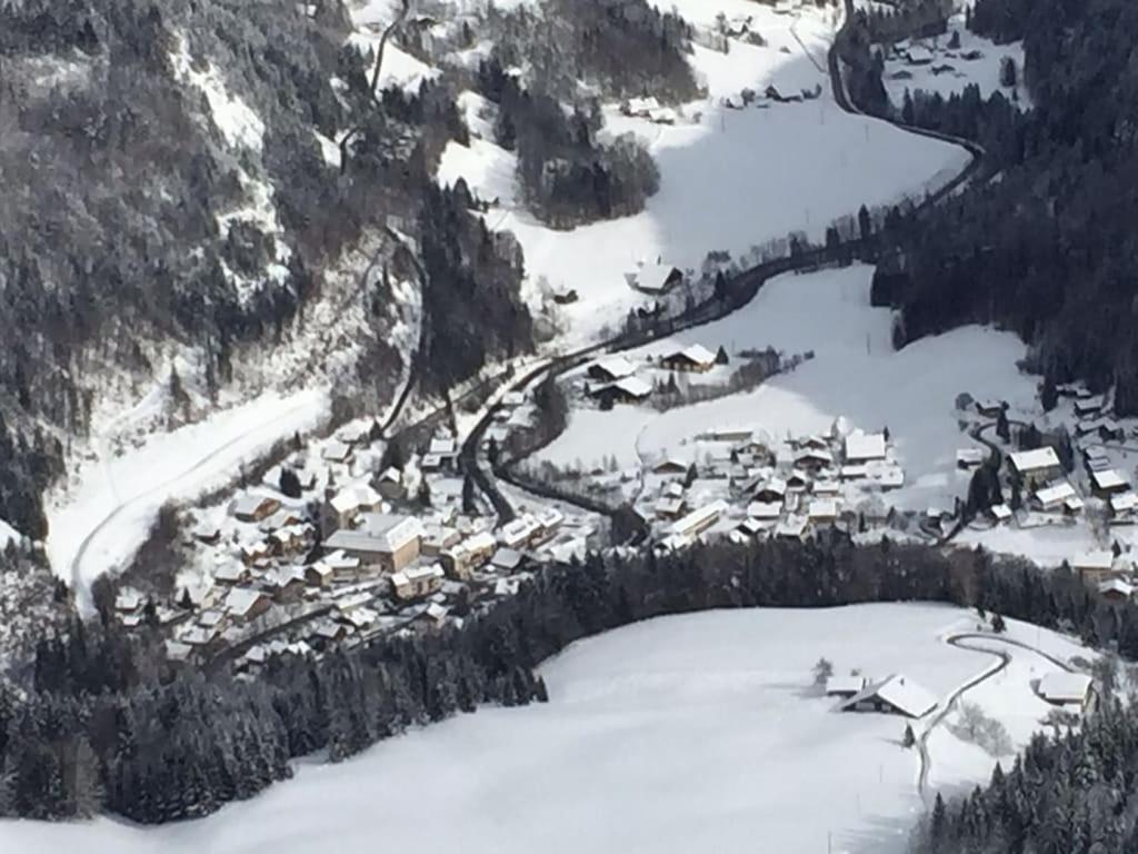 Spacious Ski Chalet In Traditional French Village, Sleeps 8, Four Star With Fibre Broadband 阿邦当斯 外观 照片