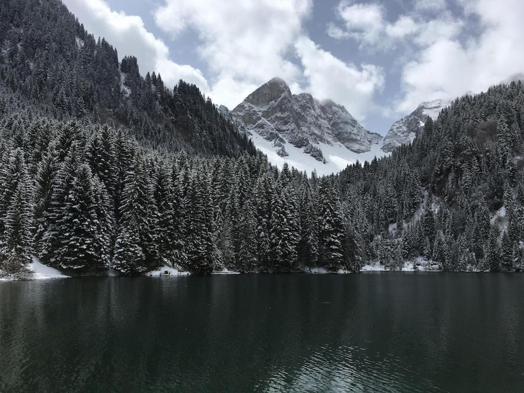 Spacious Ski Chalet In Traditional French Village, Sleeps 8, Four Star With Fibre Broadband 阿邦当斯 外观 照片