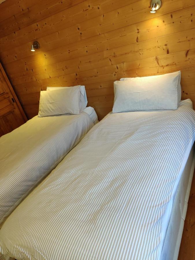 Spacious Ski Chalet In Traditional French Village, Sleeps 8, Four Star With Fibre Broadband 阿邦当斯 外观 照片